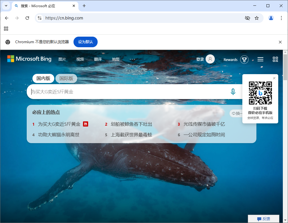 Ungoogled-Chromium v136.0.7103.92-1.1 中文绿色版  第1张