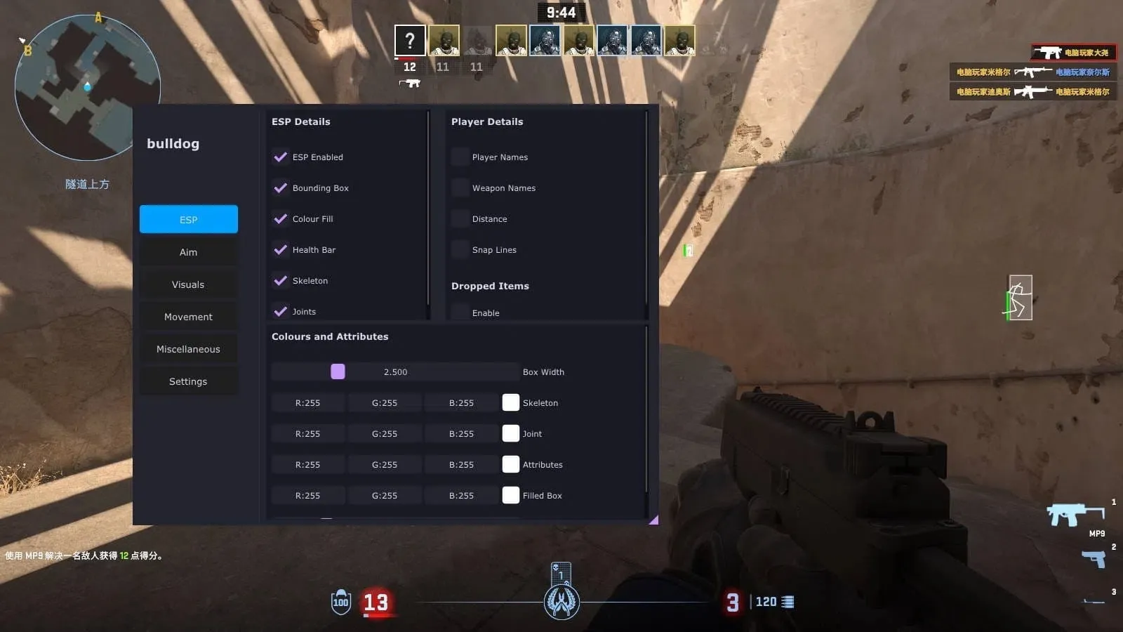 CSGO2·BullDog显敌多功能免费辅助【免更新】