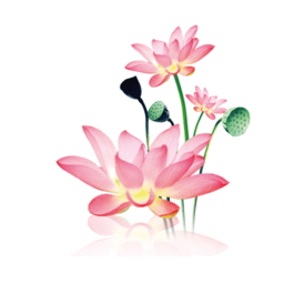 Android 水墨工具箱 v1.2.0 多功能工具箱  第1张