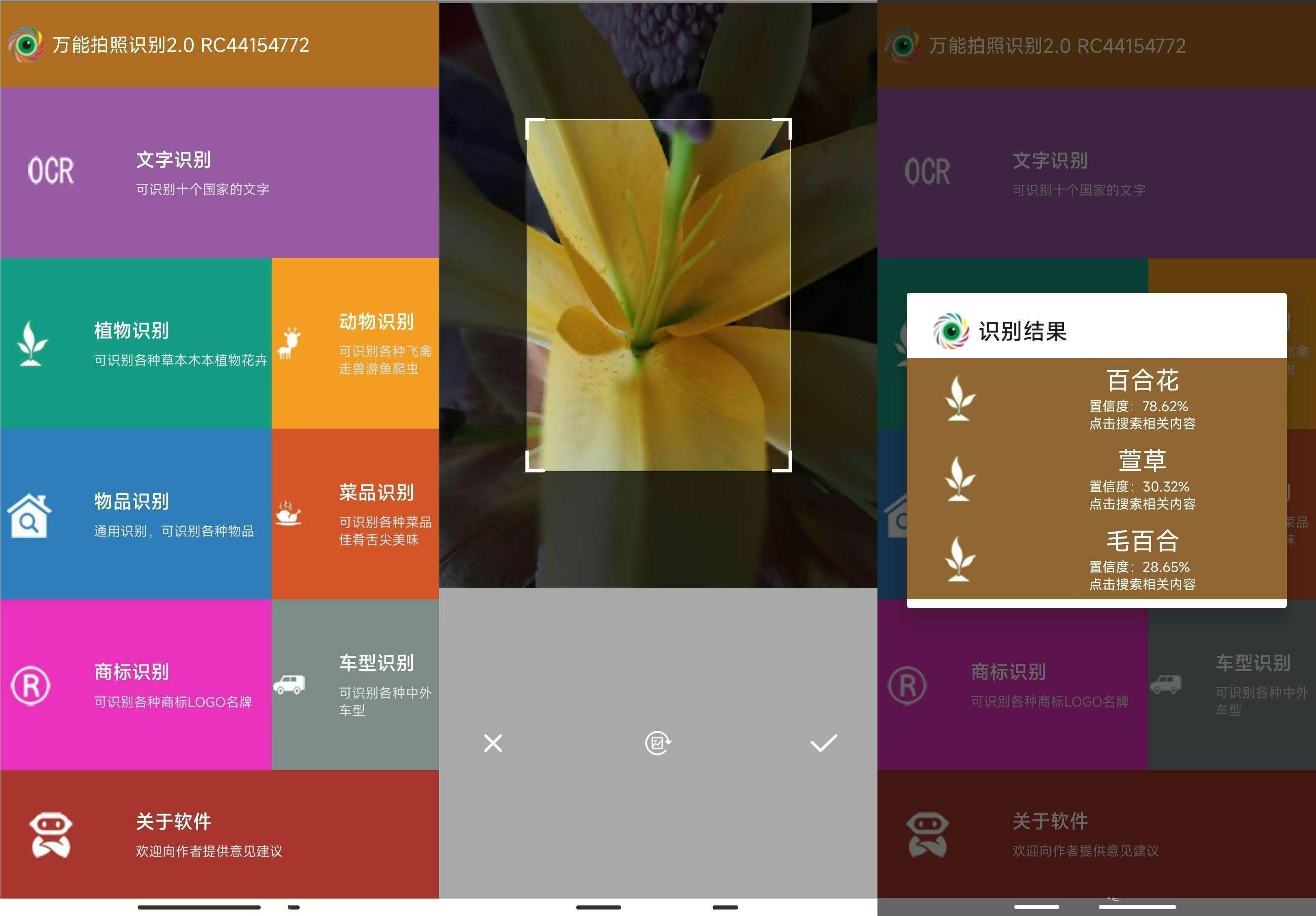 万能拍照识别v2.0一款多功能拍照识别应用  第1张