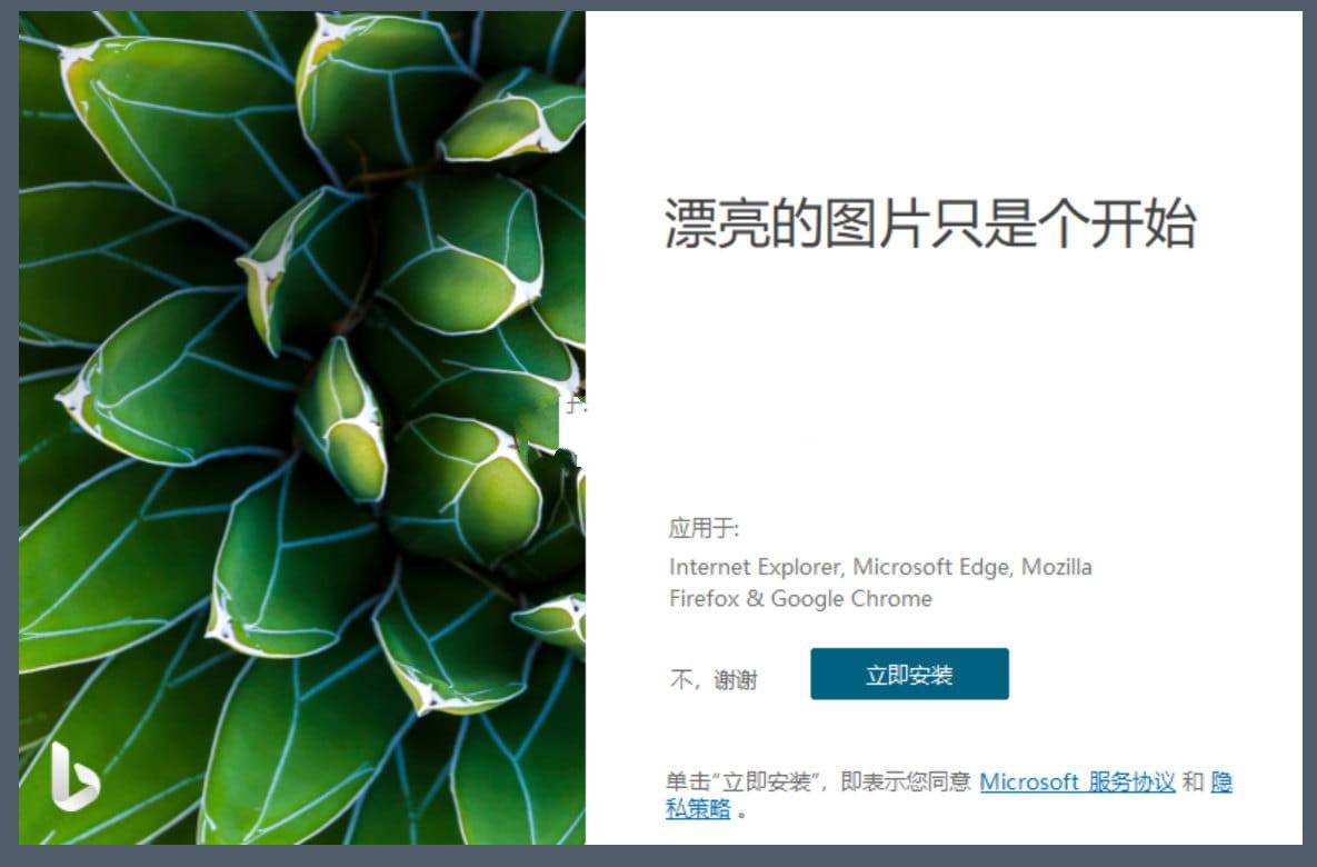 Bing Wallpaper微软壁纸v2.0.2.1中文多语版  第1张