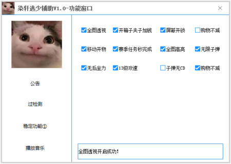 逃跑吧少年PC端染轩全图显敌多功能辅助V1.0  第1张