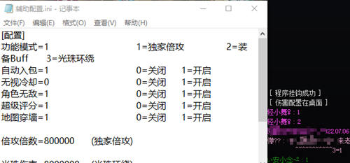 DNF雪莲辅助_DNF端游雪莲自动入包光环倍功免费版  第1张