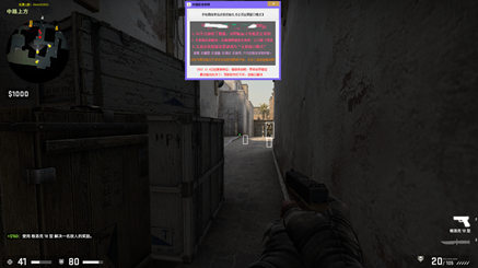 CSGO阿凯辅助-CSGO5E平台阿凯单显工具