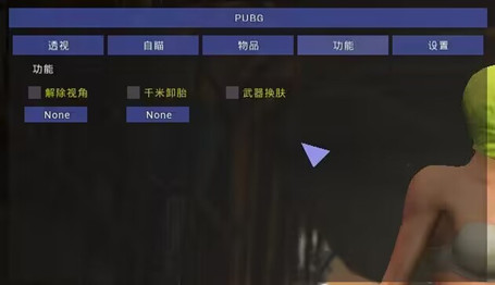 绝地求生芬达端游锁敌过墙辅助器下载  第1张
