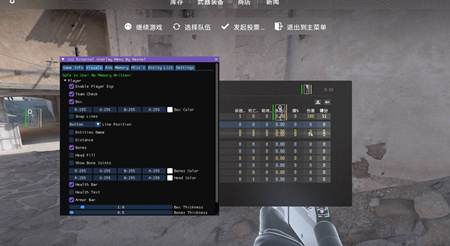 CS2摘星辅助-CS2外部绘制版多功能摘星软件  第1张