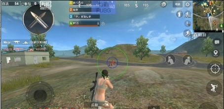 PUBGM手游仙鹤辅助-国际服轻体多功能锁敌 Ver8.11  第1张
