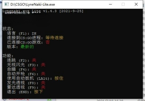 CSGO显敌雷达免费版辅助_LyneNaki V11.14  第1张