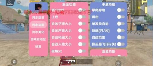 PUBG沐海国际服上色瞬击路飞辅助器  第1张