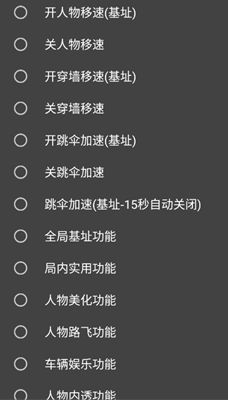 和平精英星隐手游脚本安卓版(快速降落/加速过墙/内透路飞)  第1张