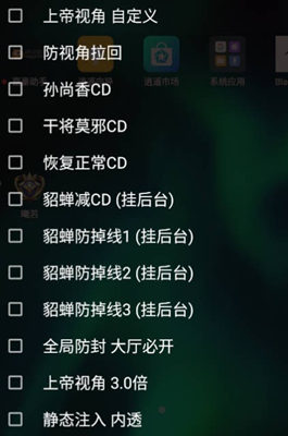 王者荣耀宇辰减CD静态内透免费辅助  第1张