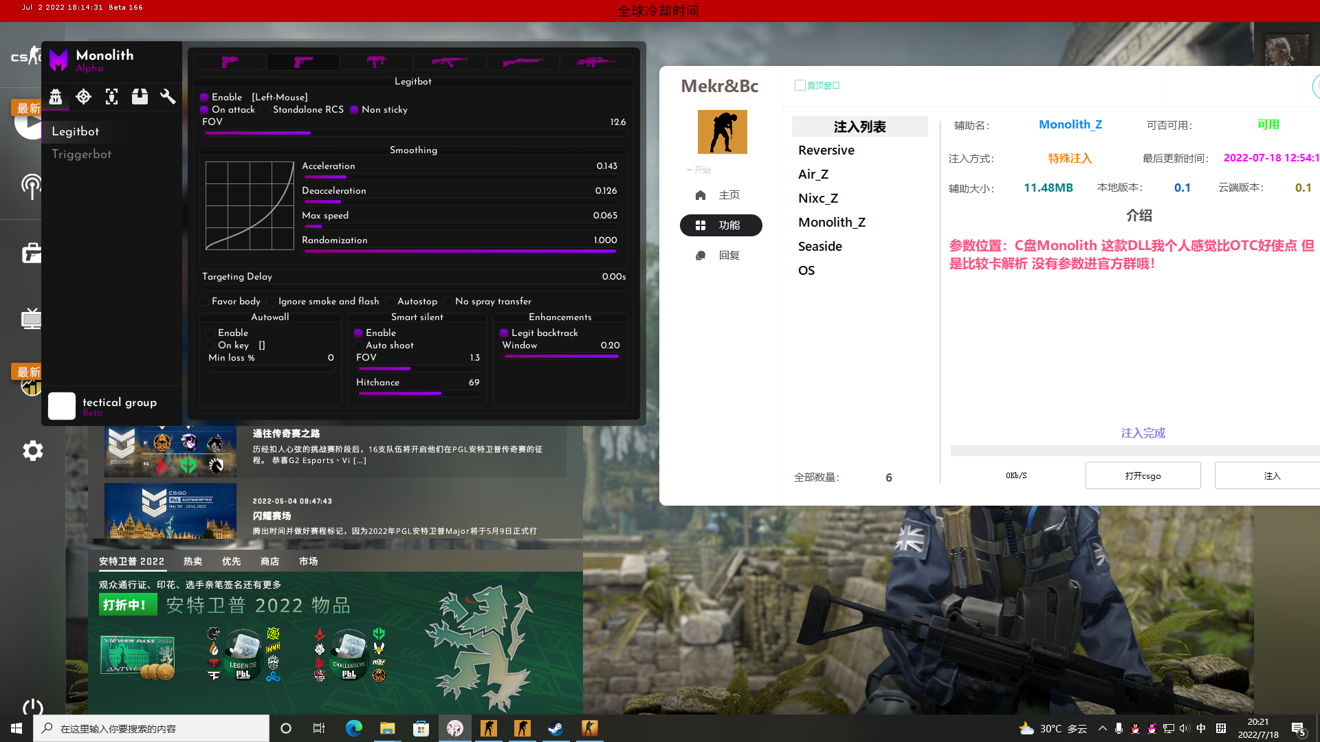 CSGO雀哥哥老牌子最新注入器  第1张