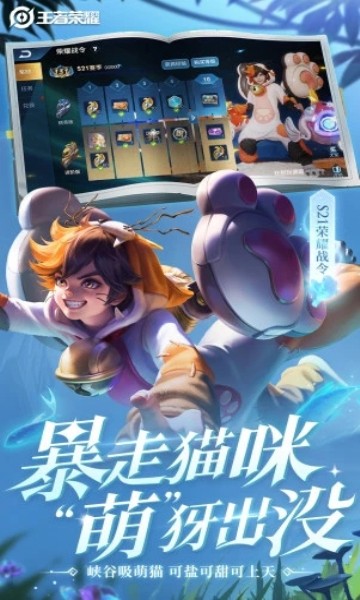 王者荣耀·小鱼全图绘制多功能辅助 v1.0.3  第1张