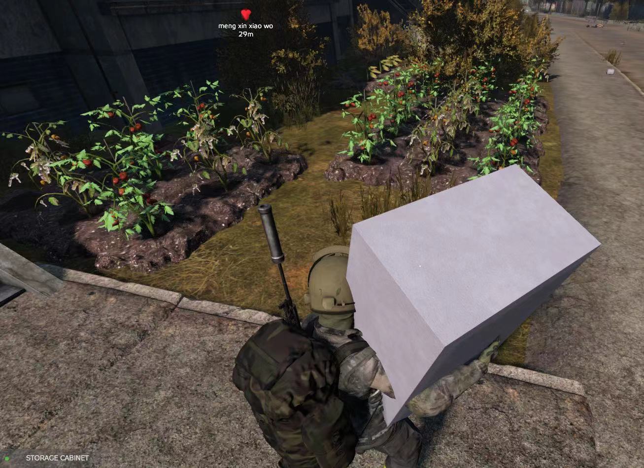DayZ·SA方框绘制显示玩家距离ID血量辅助 v2.1  第1张