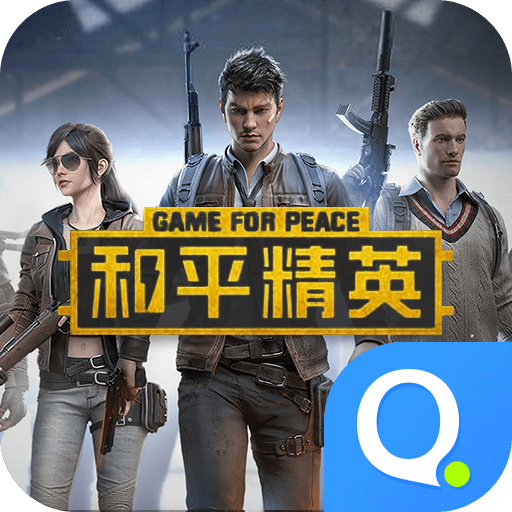 和平精英·Plus半火插件 v1.0  第1张