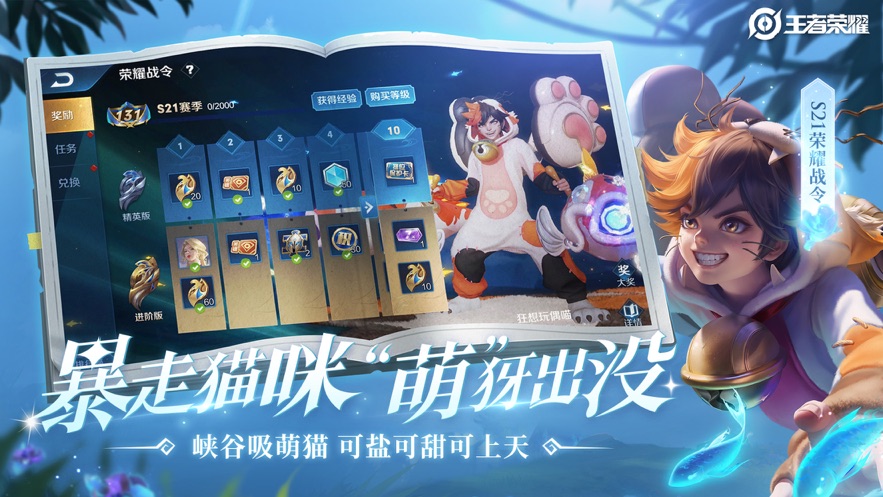 王者荣耀·树枝新赛季绘制全功能优化过录屏 v1.6  第1张