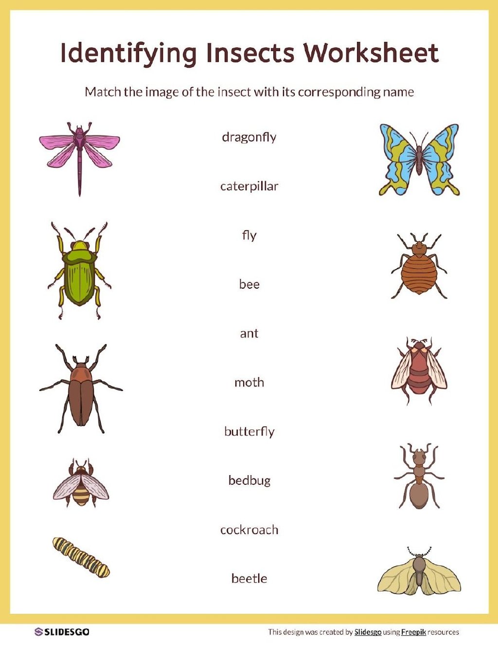 Picture Insect 昆虫识别 v2.8.19解锁高级汉化版  第1张