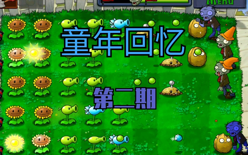 童年回忆_植物大战僵尸经典游戏破解版  第1张