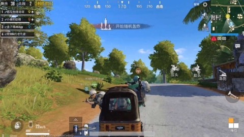 pc刺激战场向日葵程序  第1张