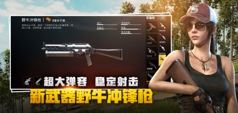 刺激战场传奇显敌最新破解版V1.2  第1张