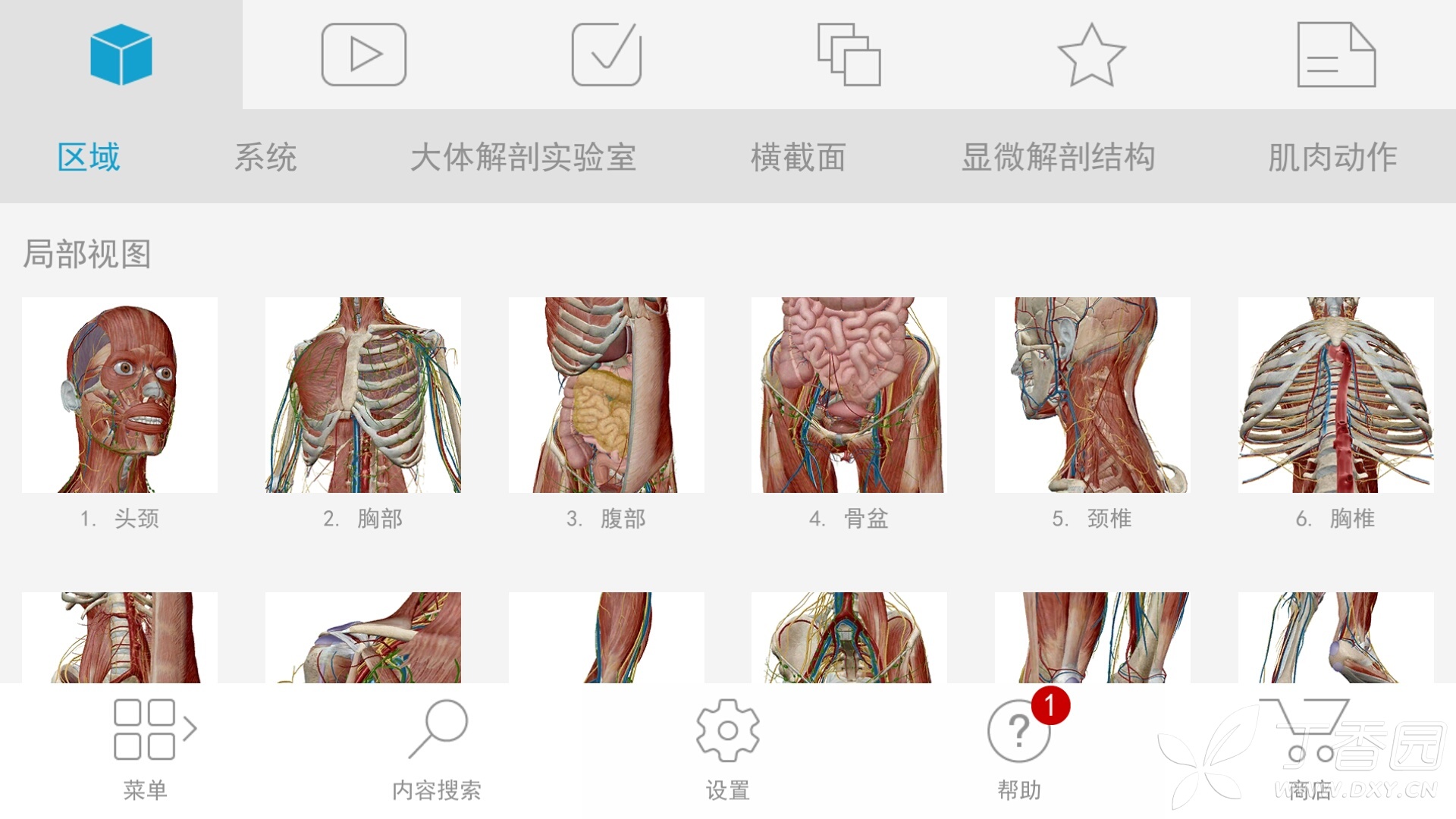 人体解剖神器电脑端Human Anatomy AtlasV7.4.01  第1张