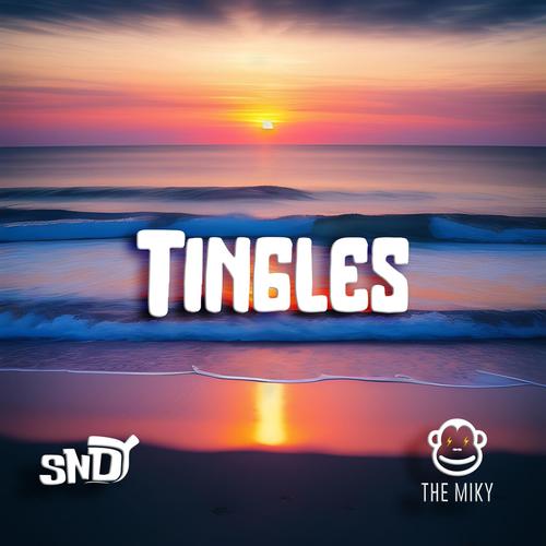 tingles v3.0.7 高级版解锁  第1张