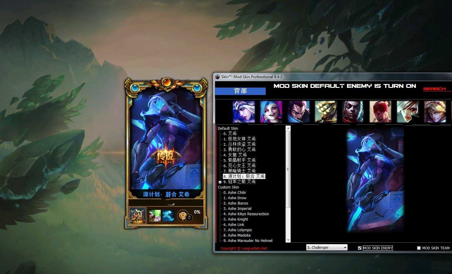 LOL英雄联盟_7.5最新老外换肤助手PRO 9.13.5+秘钥获取教程  第1张