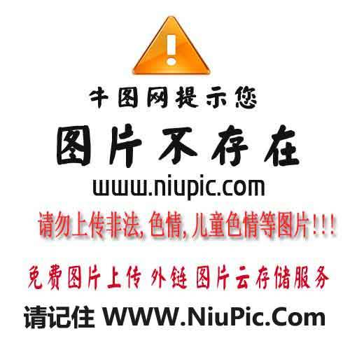 Ant Download Manager PRO 2.9.0 赠品版本  第1张
