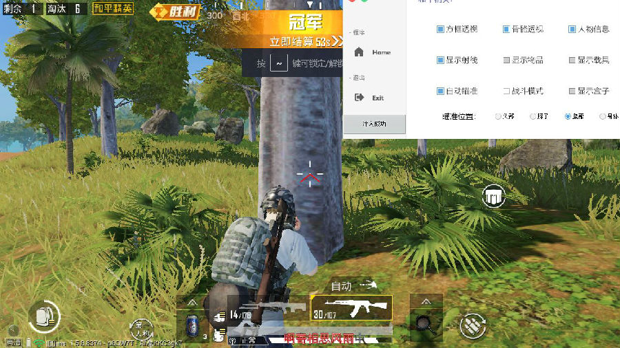 PC和平精英_大雕蒙昧投石锁敌多功能吃鸡辅助破解版  第1张
