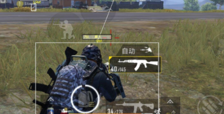 和平精英PC国际服狗贼骨骼射线锁敌辅助  第1张