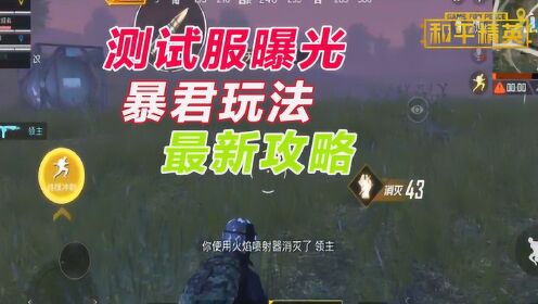 pc和平 国际服暴君  第1张