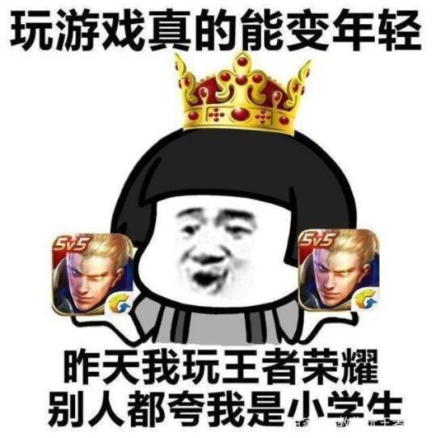王者荣耀_全自动怼人APP遇见坑比队友必备V1.0  第1张