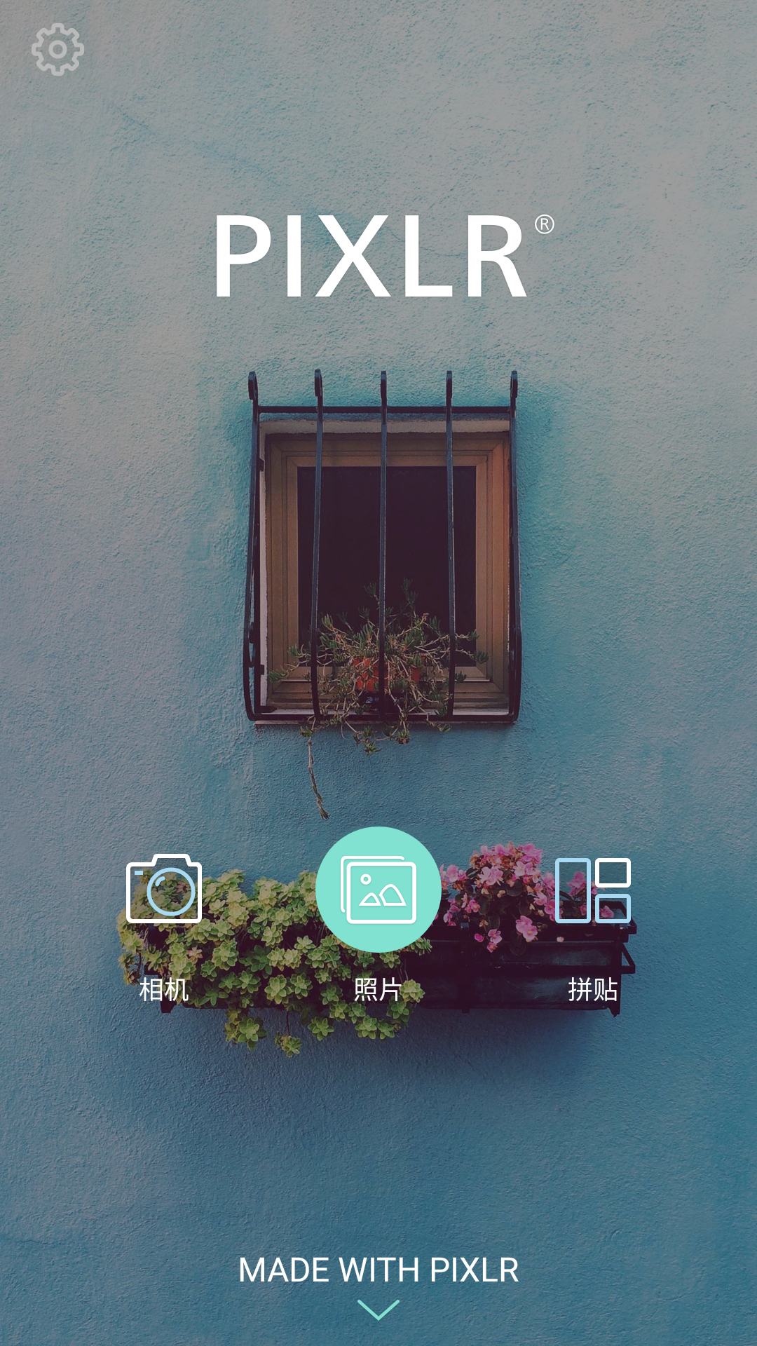 pixlr破解版_修图PS神器免登录解锁VIP  第1张