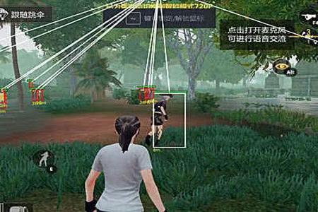 和平精英黑玫瑰绘制显敌上分多功能辅助破解版  第1张
