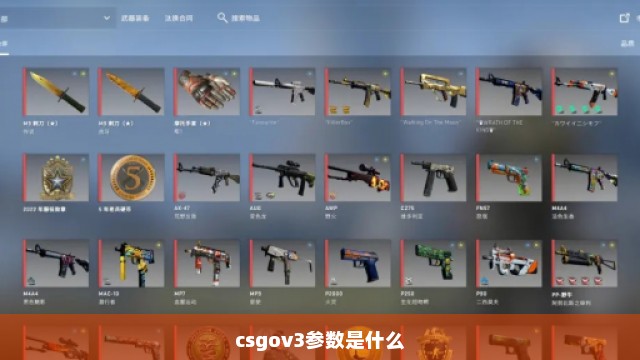 CSGOv3多功能注入器  第1张