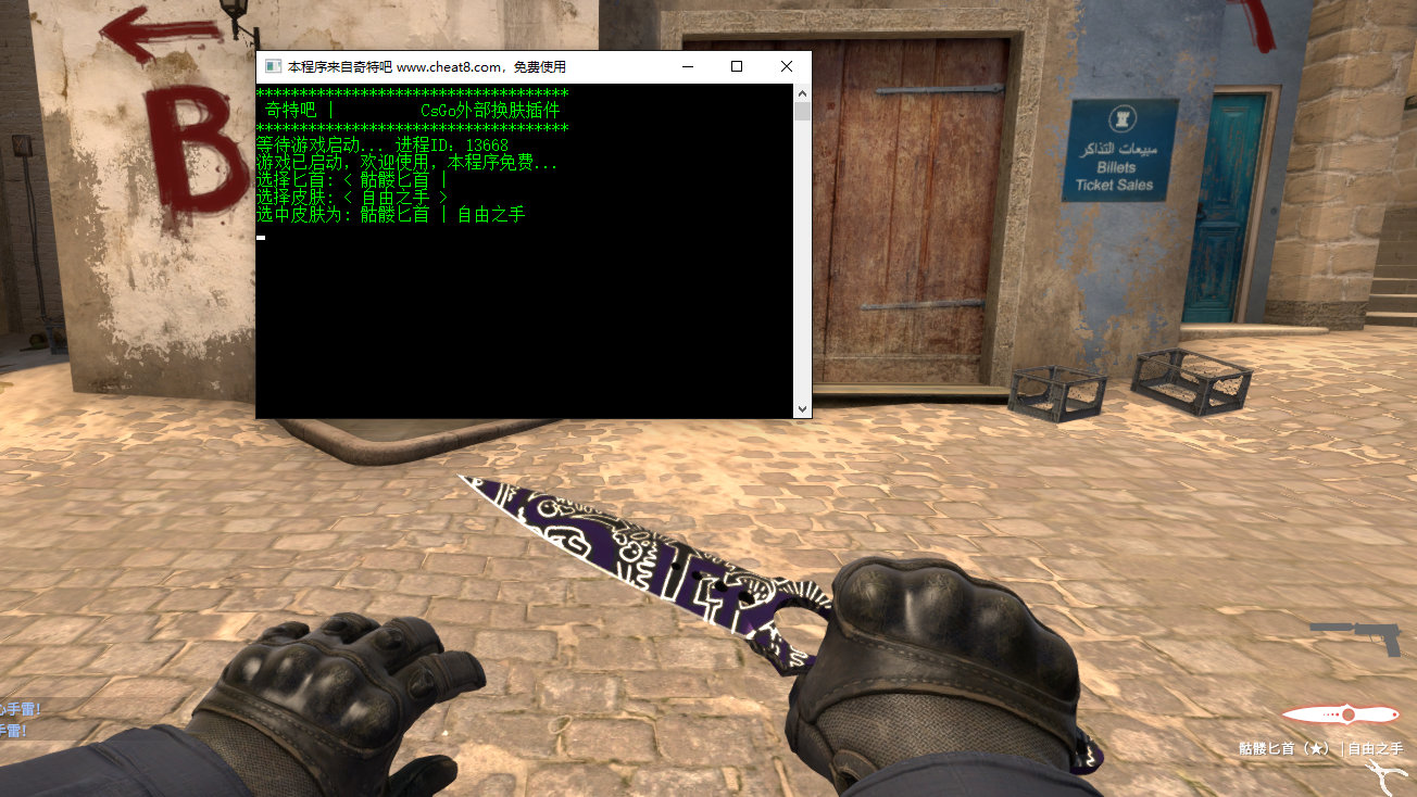 CSGO LyneNaki纯净注入器  第1张