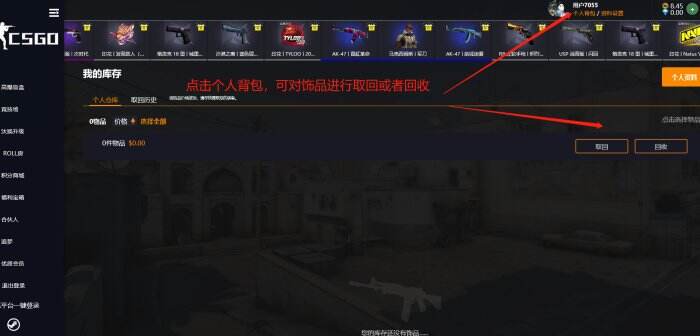 CSGO永恒会员版试用接口  第1张