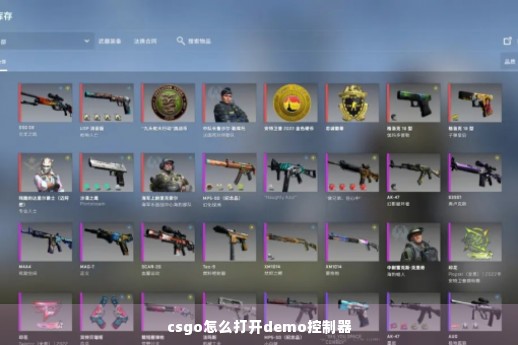 CSGO最新版OPdll附龙栗纯净注入器3.28更新  第1张