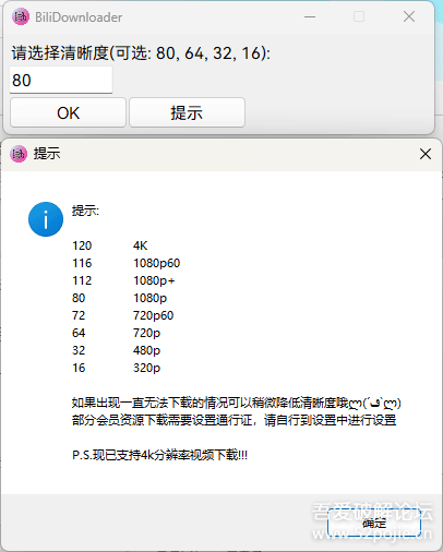 BIliDownloader(B站视频下载器) v1.3.12 中文绿色版  第1张